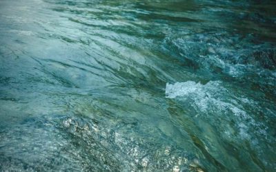 Polímero natural para las aguas potables desarrollado Safe T Water