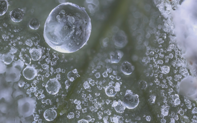 SERVYECO camino de la innovación con el ITQ de la Universidad Politécnica de Valencia