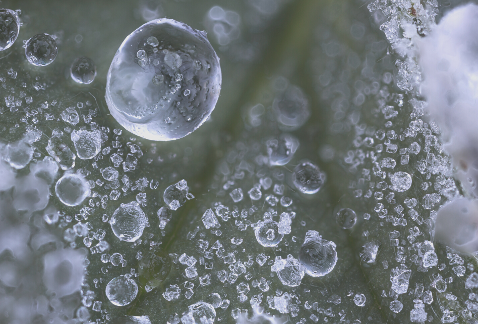 SERVYECO camino de la innovación con el ITQ de la Universidad Politécnica de Valencia