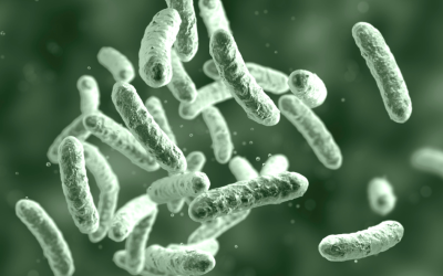 CAMBIO NORMATIVO RD 487/2022 PARA LA PREVENCIÓN DE LEGIONELLA