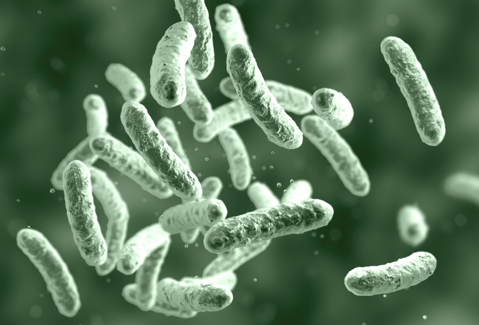 CAMBIO NORMATIVO RD 487/2022 PARA LA PREVENCIÓN DE LEGIONELLA