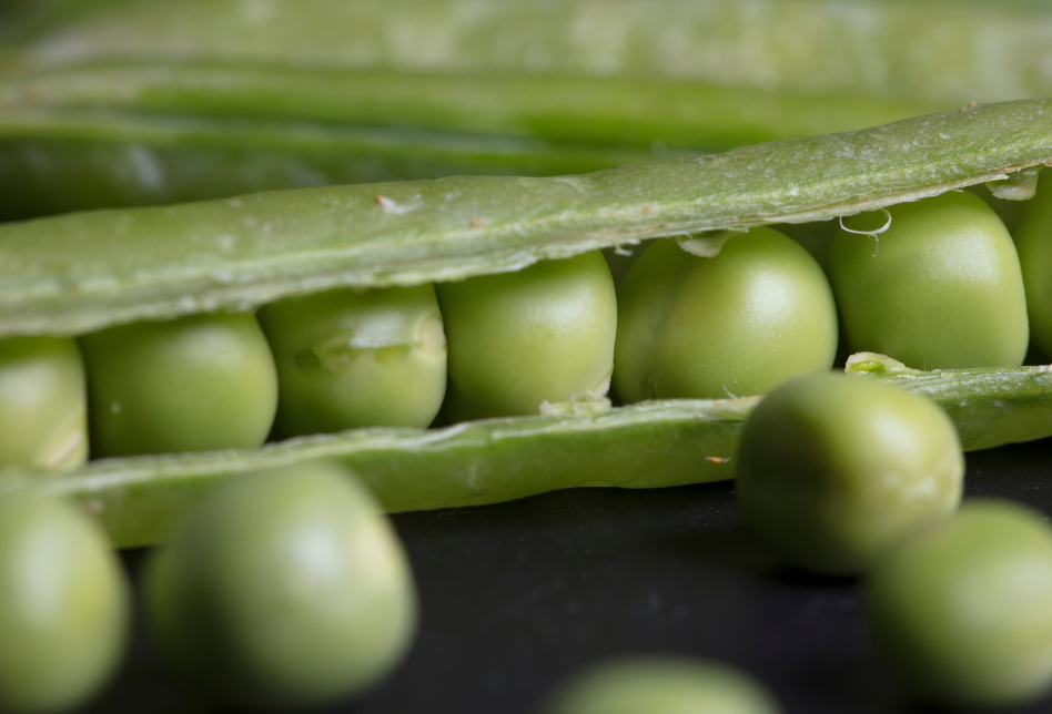 floculantes-naturales