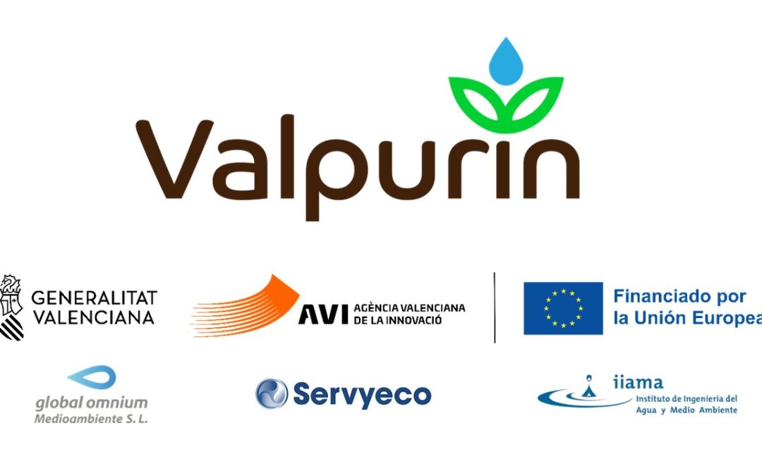 PROYECTOS ESTRATÉGICOS EN COOPERACIÓN – VALPURIN