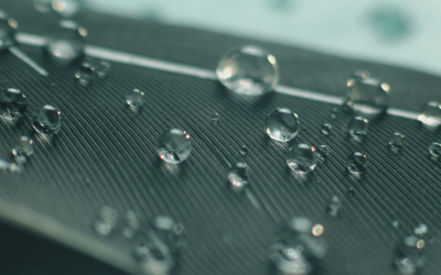 BEWAT FRENTE A OTROS COAGULANTES