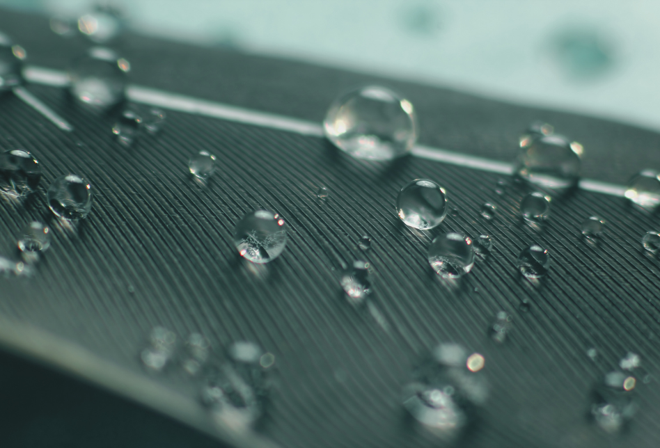 BEWAT FRENTE A OTROS COAGULANTES