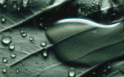 SERVYECO OBTIENE LA DECLARACIÓN AMBIENTAL DE PRODUCTO (EPD®) PARA SU GAMA DE COAGULANTES NATURALES BEWAT®