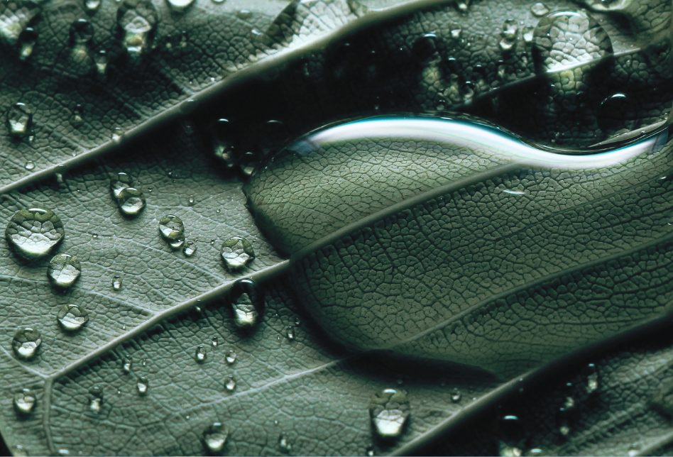 SERVYECO OBTIENE LA DECLARACIÓN AMBIENTAL DE PRODUCTO (EPD®) PARA SU GAMA DE COAGULANTES NATURALES BEWAT®